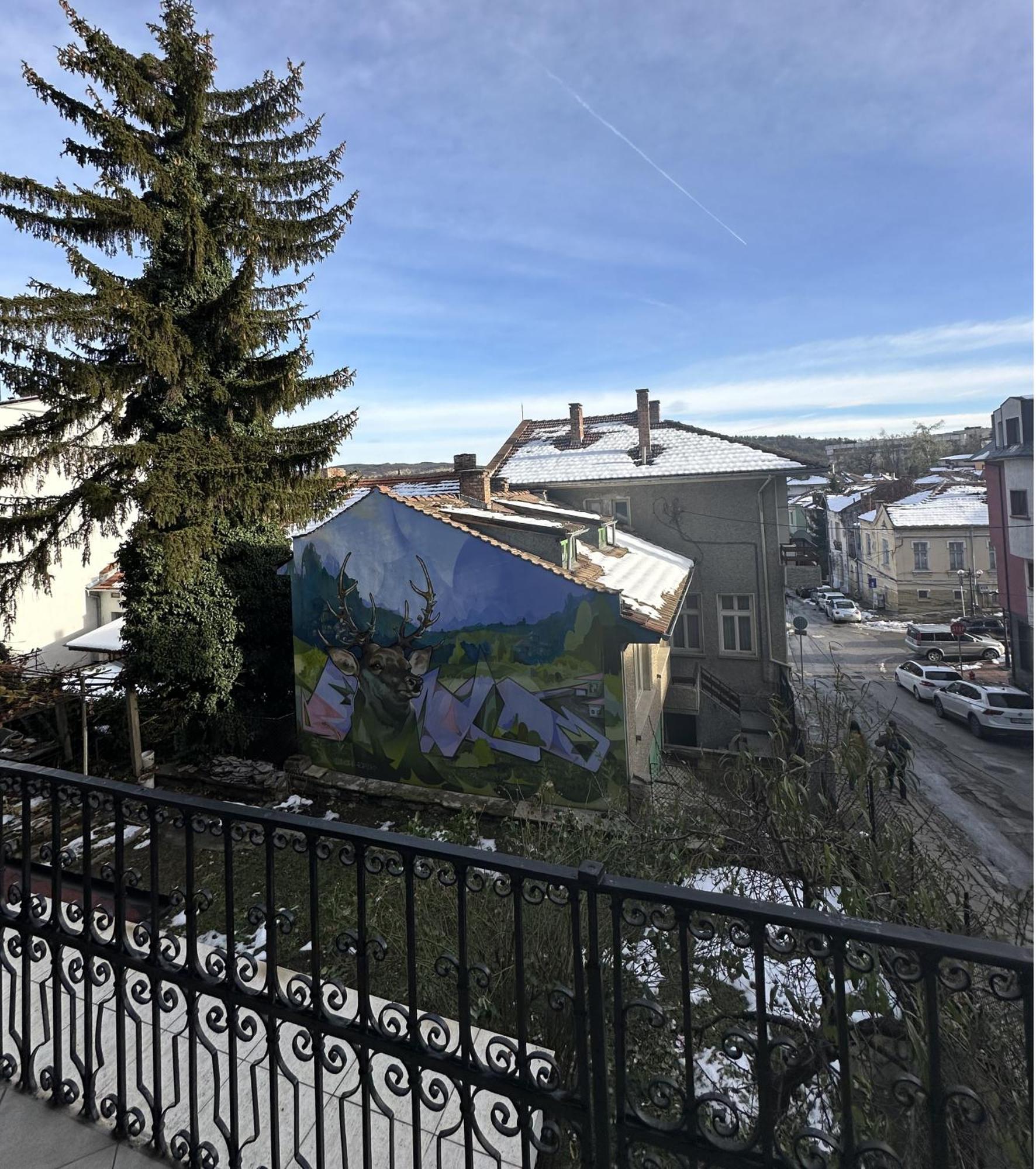 Guesthouse Petra Veliko Tarnovo Ngoại thất bức ảnh