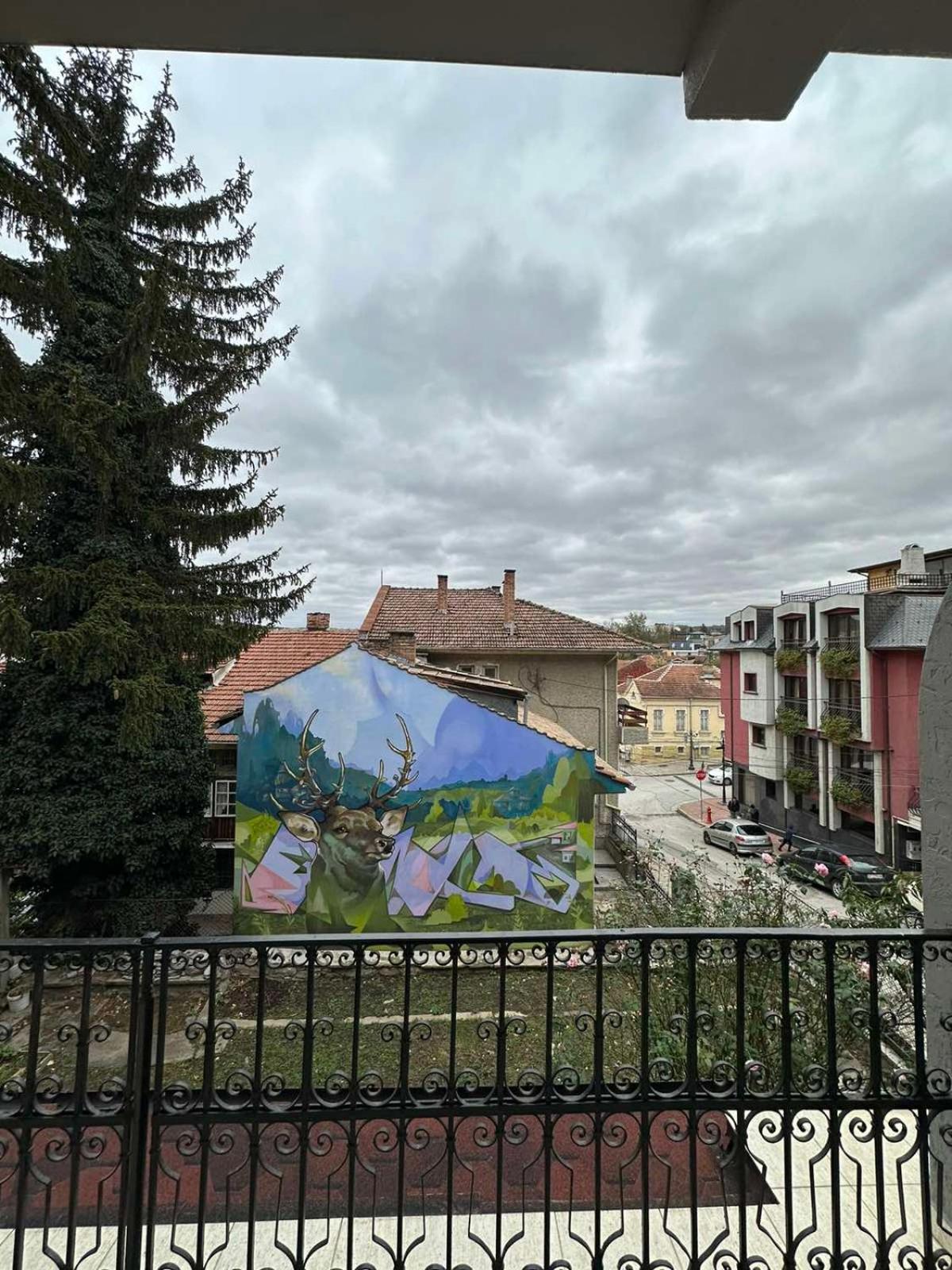 Guesthouse Petra Veliko Tarnovo Ngoại thất bức ảnh